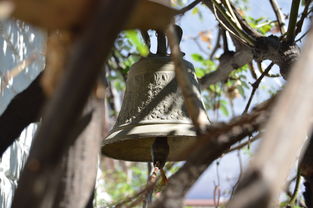 Leyu Sport登录入口-NBA球员转会市场动态，nba转会名单