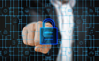 乐鱼（中国）体育官方网站-赛事风险管理体系，体育赛事风险管理的主要内容