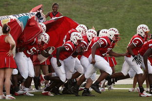 乐鱼体育登录-青少年体育参与行为及其影响机制探讨，青少年体育参与行为及其影响机制探讨论文