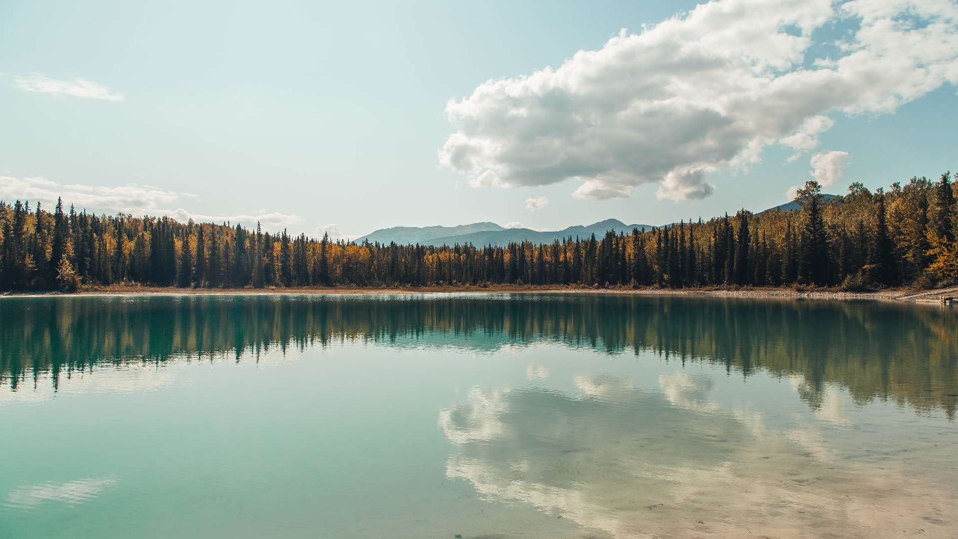 快节奏打法中是否需特定位置承担过渡角色,节奏快斩怎么玩