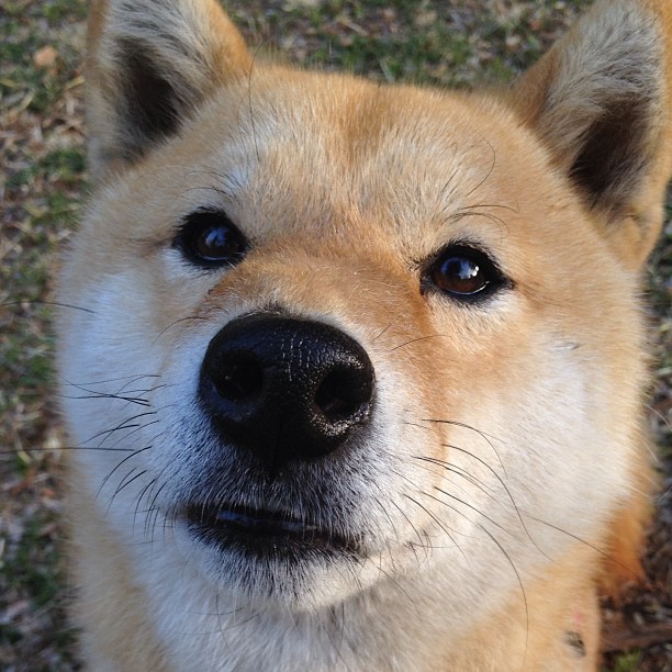 男队整体表现获国际好评,男队整体表现获国际好评的球员