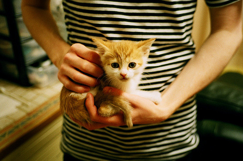 足球教练战术布置备受关注,足球教练考虑到对手阵型