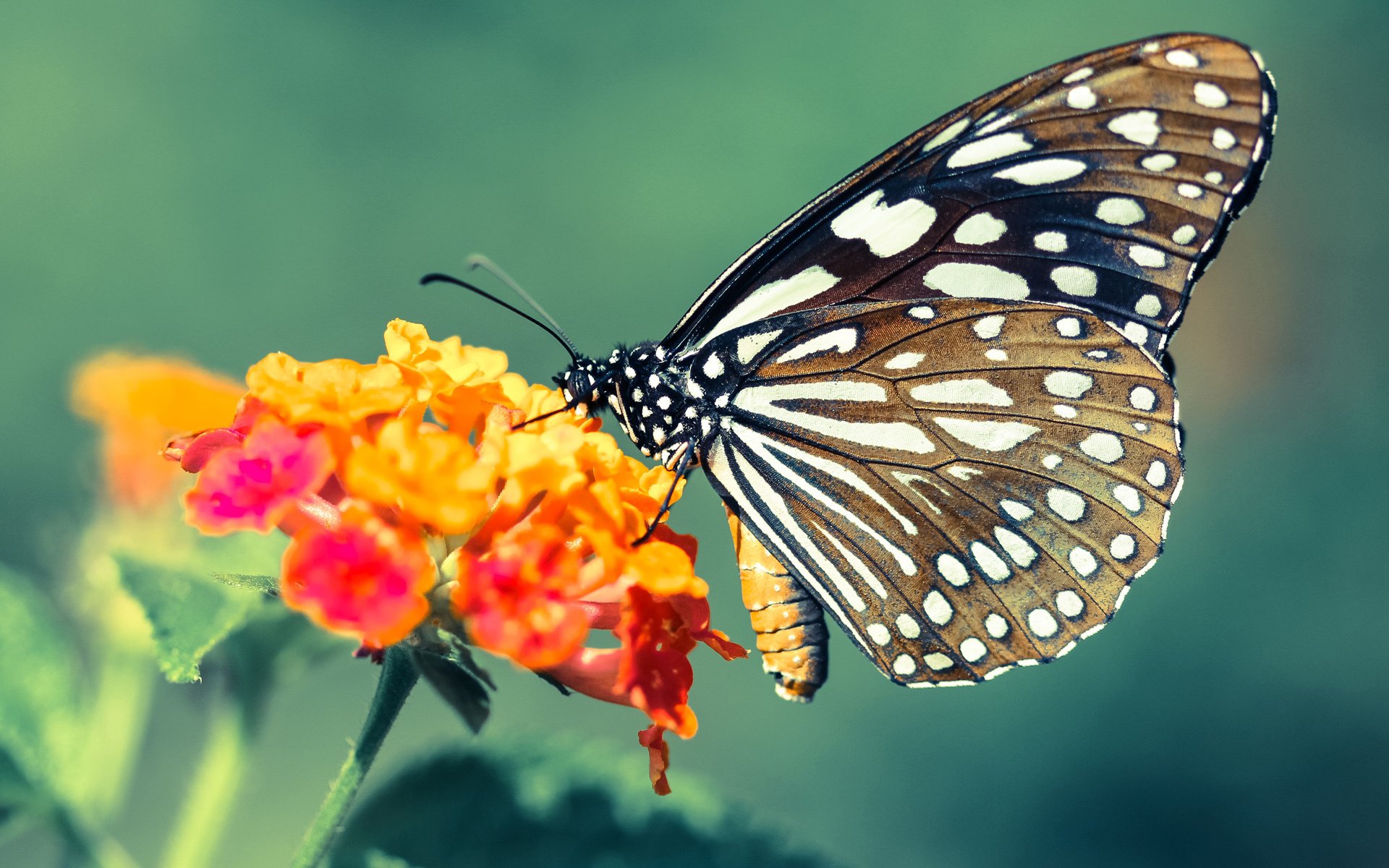 马拉松赛事人文关怀深入人心,马拉松公文