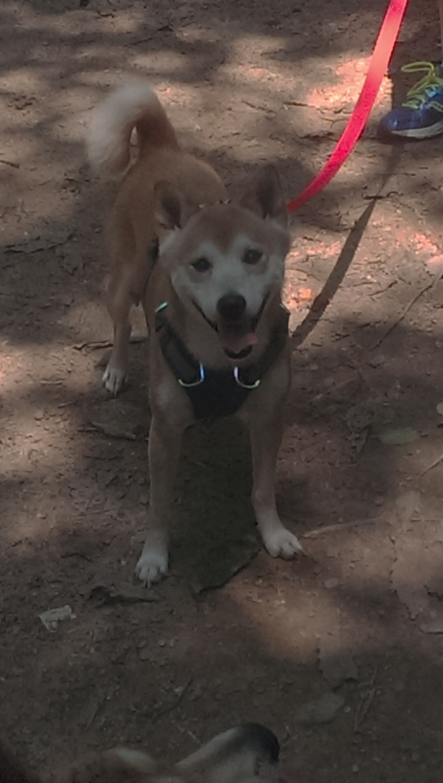 三天18战!欧冠火力全开不间断!,欧冠比赛几天