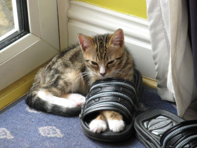 乐鱼体育平台官网-俄军不手软！新兵营一夜被平，俄军新兵打靶